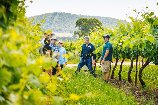 Hunter Valley Wine Tasting Tour from Sydney - Why this works as a Sydney wine day trip
