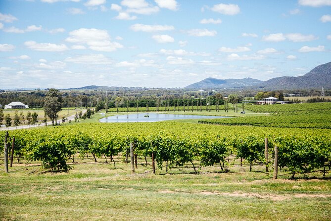 Hunter Valley Wine Tasting Tour from Sydney - The long road from Sydney to Pokolbin