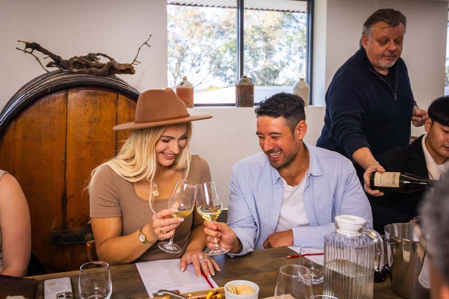 Hunter Valley: Wine Tour with 2-Course Lunch, Choc & Cheese - Audrey Wilkinson and the first valley views