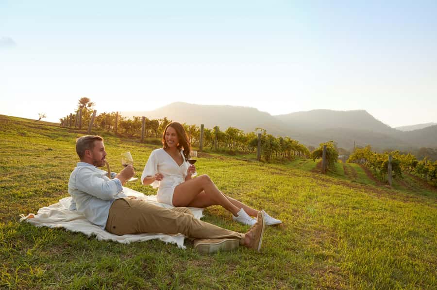 Hunter Valley: Wine Tour with 3 Tastings and Garden Lunch - Cheese, village shops, and local treats