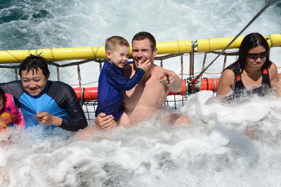 Huskisson: Dolphin Cruise & Boom Netting Experience - Key points to know before you book