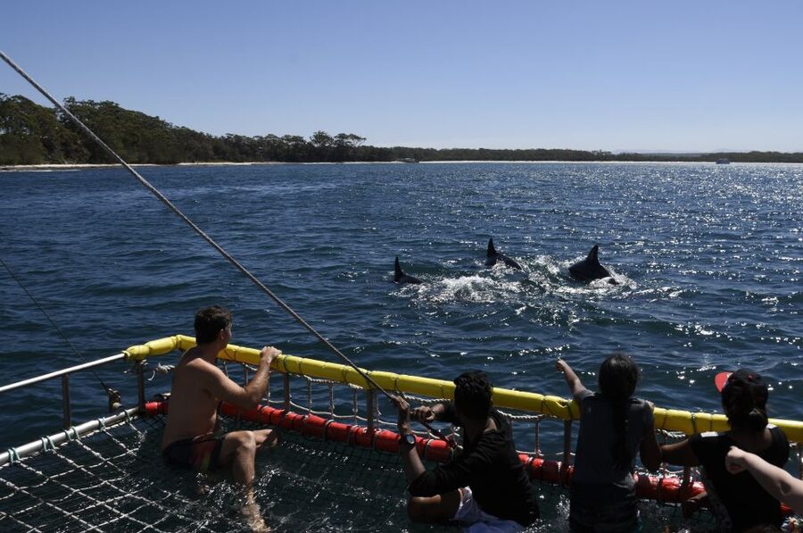 Huskisson: Dolphin Cruise & Boom Netting Experience - Crew service and comfort on board