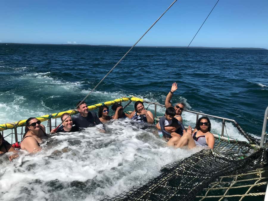 Huskisson: Dolphin Cruise & Boom Netting Experience - Practical tips for a smoother trip