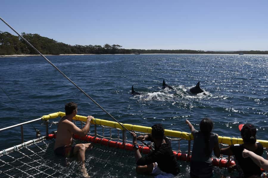 Huskisson: Dolphin Cruise & Boom Netting Experience - Meeting the boat at Huskisson Wharf