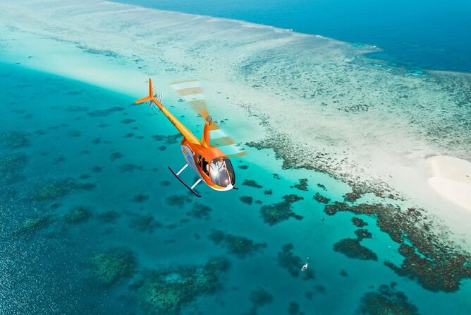 Inner Reef Explorer - 30 minute Reef Scenic Flight - Arlington Reef and the search for marine life