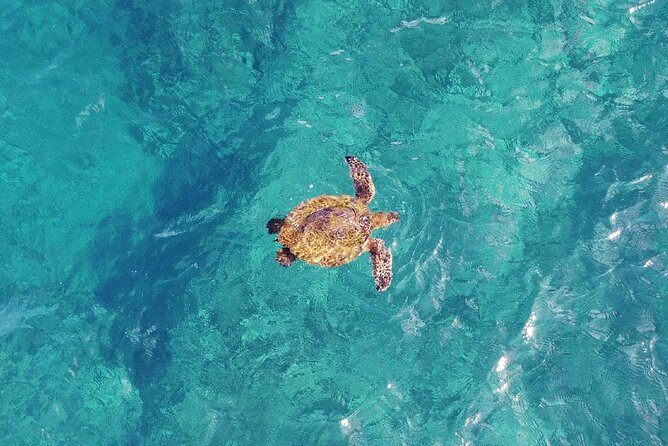 Inner Reef Explorer - 30 minute Reef Scenic Flight - Why 30 minutes can feel both right and short