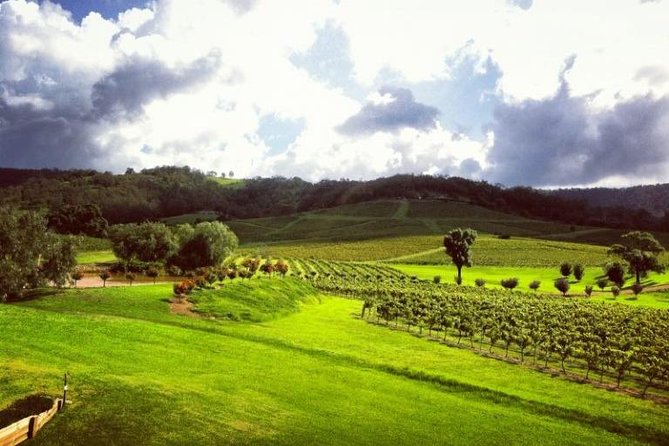 Ivanhoe Wines: Trip Advisor Premium Wine Tasting - A personal host makes the difference