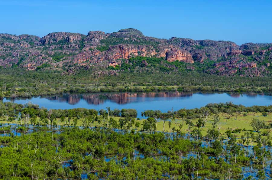 Jabiru: Guided Flight over Kakadu National Park - Key points at a glance