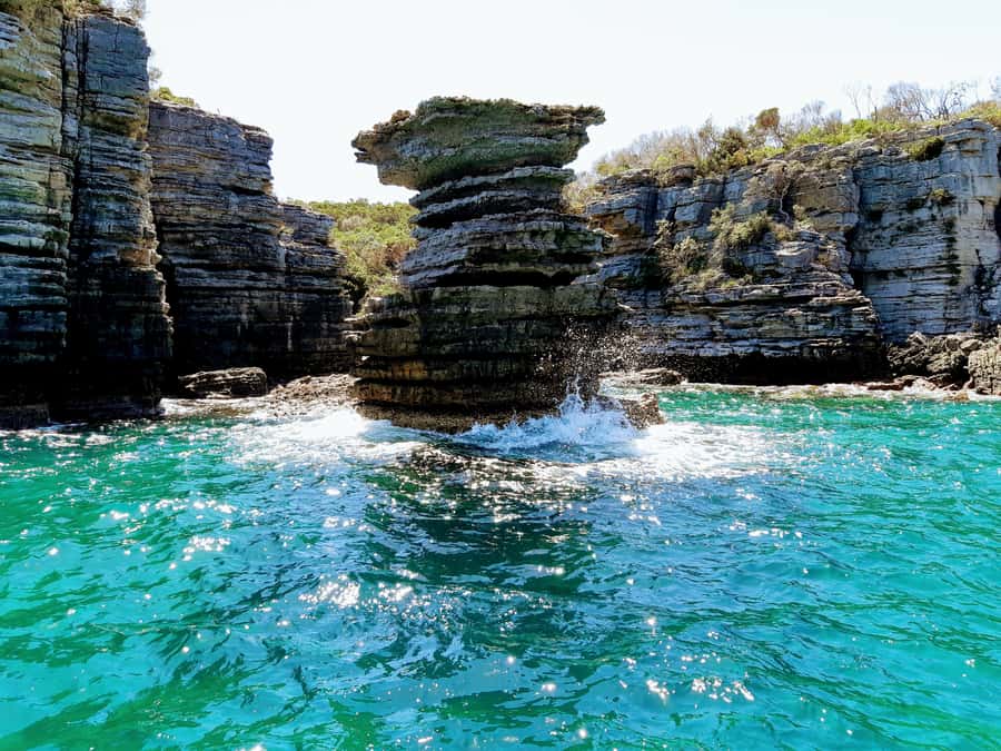 Jervis Bay: 2-Hour Cruise of Jervis Bay Passage - Key points to know before you book