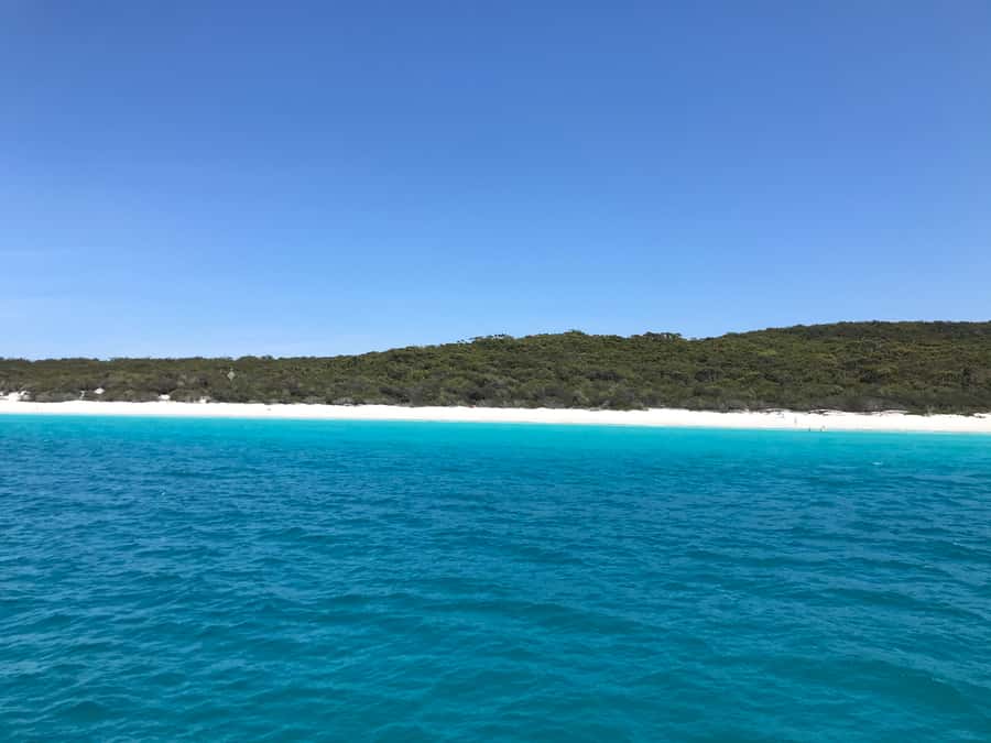 Jervis Bay: 2-Hour Cruise of Jervis Bay Passage - Comfort, timing, and what the $63 covers