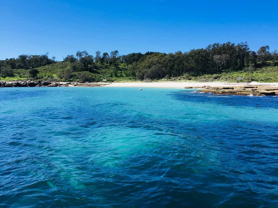 Jervis Bay: 2-Hour Cruise of Jervis Bay Passage - Weather, sea conditions, and the small print that matters