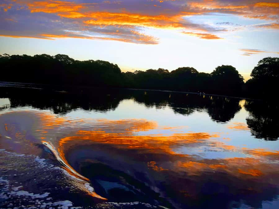 Jervis Bay: 2-Hour Sunset River Cruise - A calm route along Currambene River