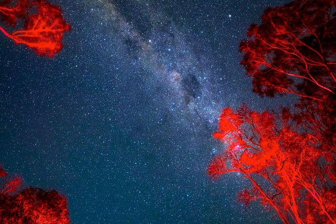 Jervis Bay Beach Stargazing Tour with our Astronomer - What 90 minutes feels like