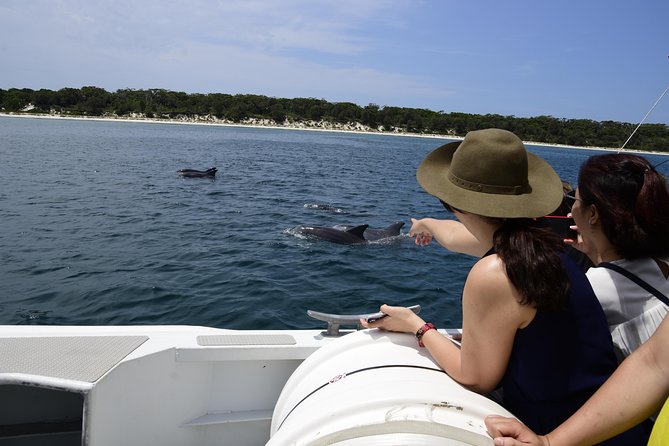 Jervis Bay Dolphin Cruise - Setting out from Huskisson and Currambene Street