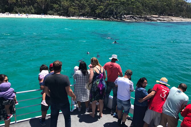 Jervis Bay Dolphin Cruise - A closer look at the 90-minute itinerary