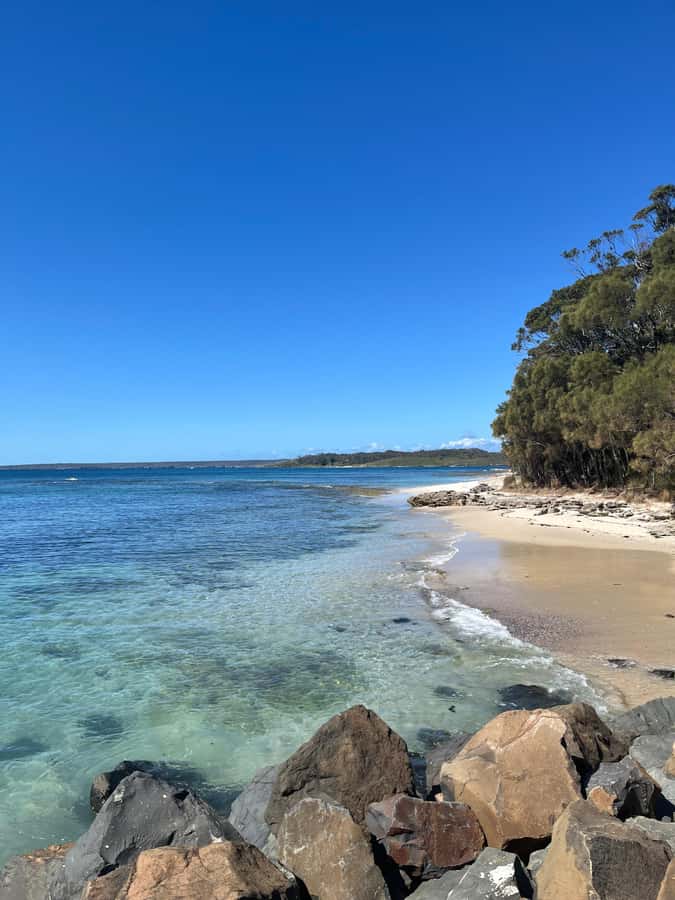 Jervis Bay: Guided Snorkelling Tour with expert guide - Who will enjoy this three-hour outing