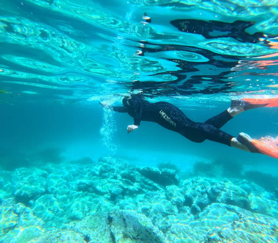 Jervis Bay: Guided Snorkelling Tour with expert guide - Weather, visibility, and responsible wildlife watching