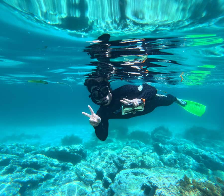 Jervis Bay: Guided Snorkelling Tour with expert guide - Booking, cancellation, and practical planning