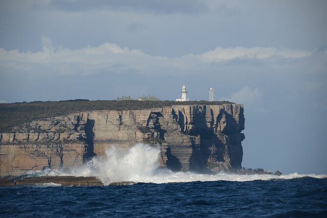 Jervis Bay Passage Tour - Why seeing Jervis Bay by boat matters