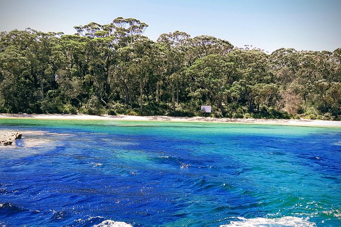 Jervis Bay Passage Tour - Dolphins, birds, and the chance of whales