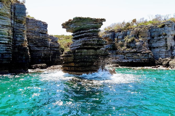 Jervis Bay Passage Tour - What the live commentary adds