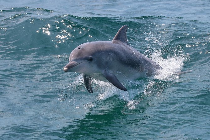 Jervis Bay Passage Tour - Comfort, weather, and the boat’s pace