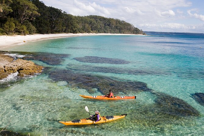Jervis Bay Whale Watching Tour - Dolphins, seals, and the bonus wildlife