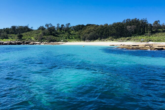 Jervis Bay Whale Watching Tour - Who will enjoy this cruise most?