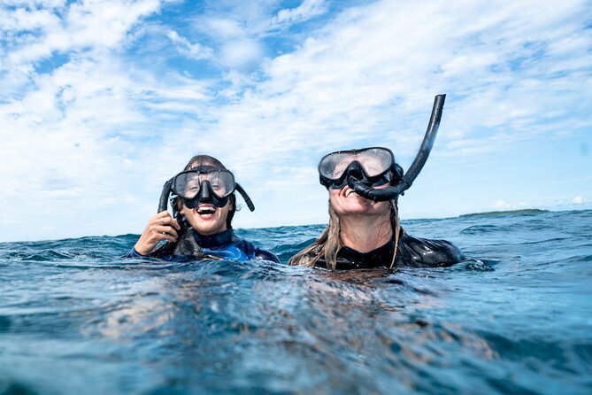 Julian Rocks: Premier Snorkeling Tour Byron Bay - Is $92.52 a fair price?