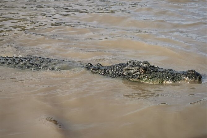 Jumping Croc Cruise, Berry Springs, Fogg Dam & Humpty Doo Pub - Fogg Dam shows a quieter side of the Top End