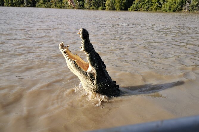 Jumping Croc Cruise, Berry Springs, Fogg Dam & Humpty Doo Pub - Small groups make the long day easier