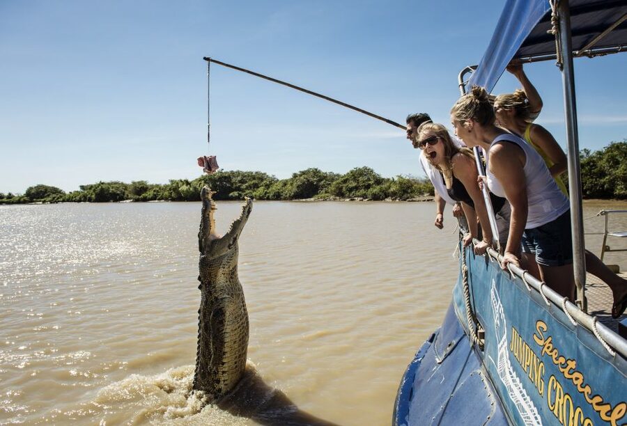 Jumping Crocodile Cruise from Darwin Half-Day Scenic Trip - Booking flexibility and small practical details