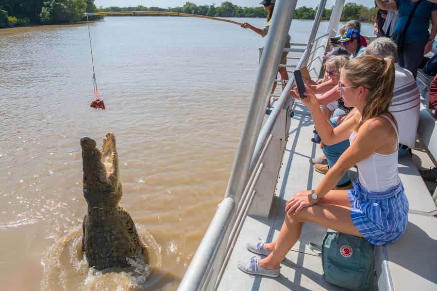 Jumping Crocodile Cruise from Darwin Half-Day Scenic Trip - Why the jumping crocodiles are the main event