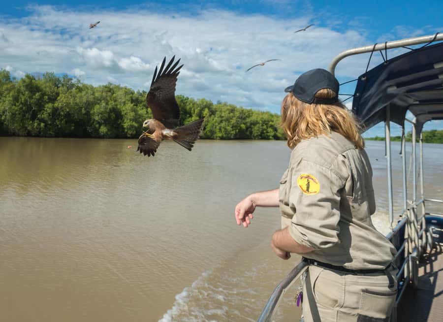 Jumping Crocodile Cruise from Darwin Half-Day Scenic Trip - What the $99 price really covers