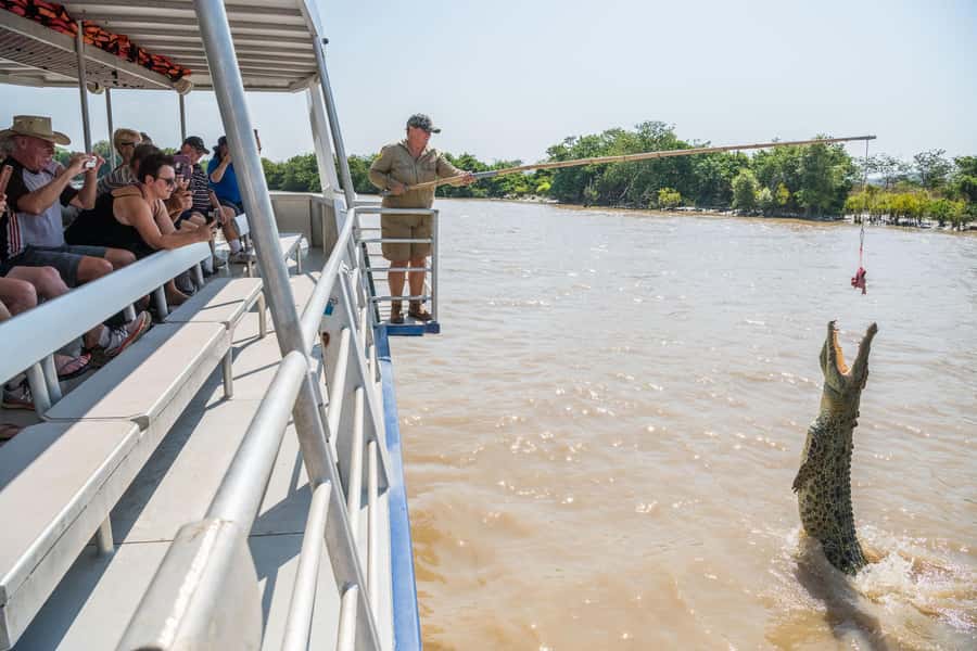 Jumping Crocodile Cruise from Darwin Half-Day Scenic Trip - Who will enjoy this outing most