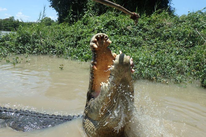 Jumping Crocodile Cruise with lunch - Practical details that affect your day