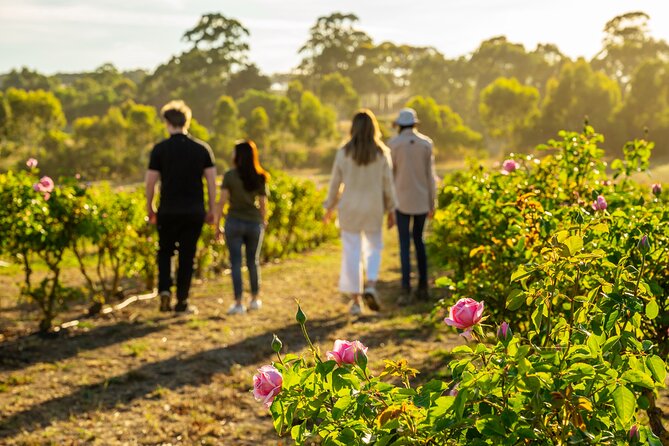 Jurlique Farm Tour - Key points at a glance