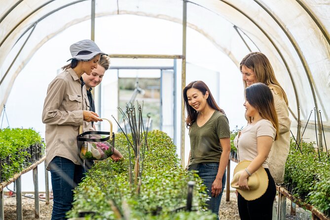 Jurlique Farm Tour - Why Jurlique Farm is more than a product display