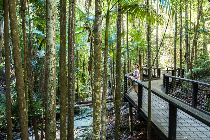 K'gari (Fraser Island) All Inclusive Day Tour - Why this one-day K’gari tour works