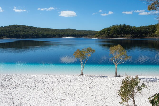 K'gari (Fraser Island) All Inclusive Day Tour - Central Station and Wanggoolba Creek