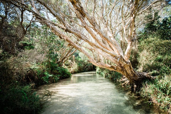 K'gari (Fraser Island) All Inclusive Day Tour - Seventy-Five Mile Beach and the Maheno wreck