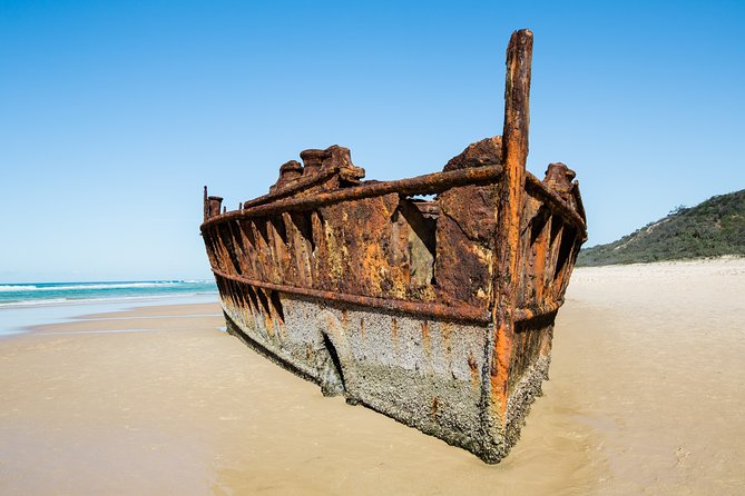 K'gari (Fraser Island) All Inclusive Day Tour - Eli Creek: bring something that floats