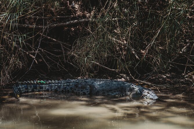 Kakadu Day Tour from Darwin with Offroad Dreaming - What the $243.86 price really covers