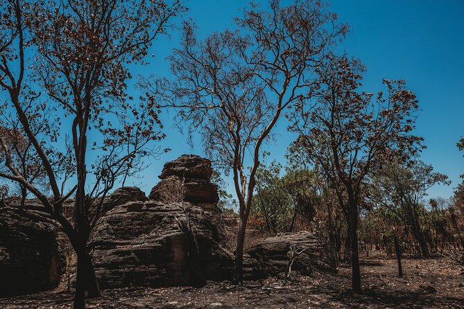 Kakadu Day Tour from Darwin with Offroad Dreaming - My call: a strong first look at Kakadu