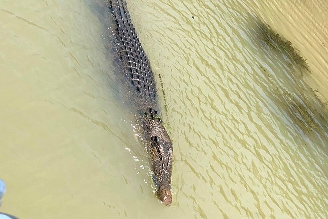 Kakadu National Park Scenic Flight &Yellow Water Cruise - The 8:30 am start at Darwin Airport