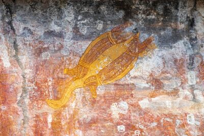 Kakadu National Park Wildlife & Ubirr Rock Art Tour from Darwin