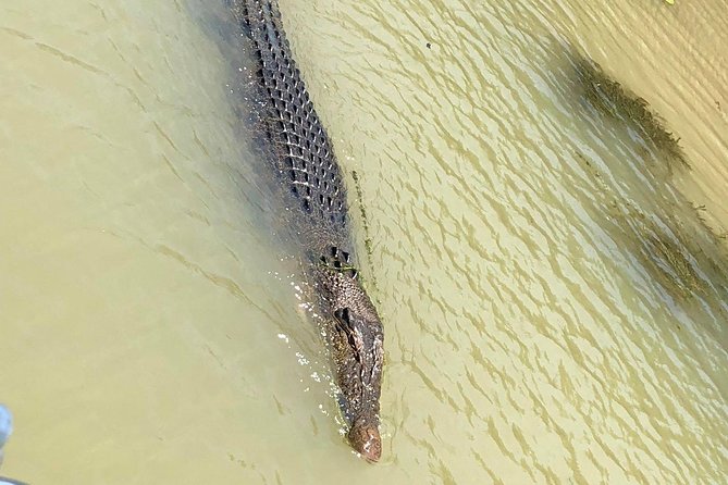 Kakadu Yellow Waters Cruise & Katherine Gorge Helicopter Scenic - Leaving Darwin at 6:30 a.m.