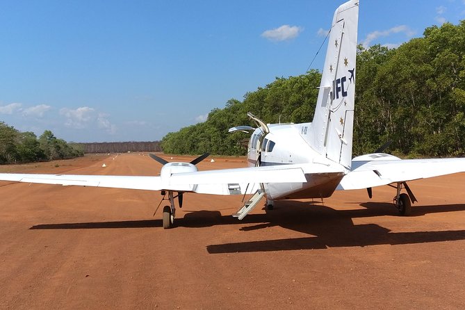 Kakadu Yellow Waters Cruise & Katherine Gorge Helicopter Scenic - Yellow Water Cruise: the slower half of the day