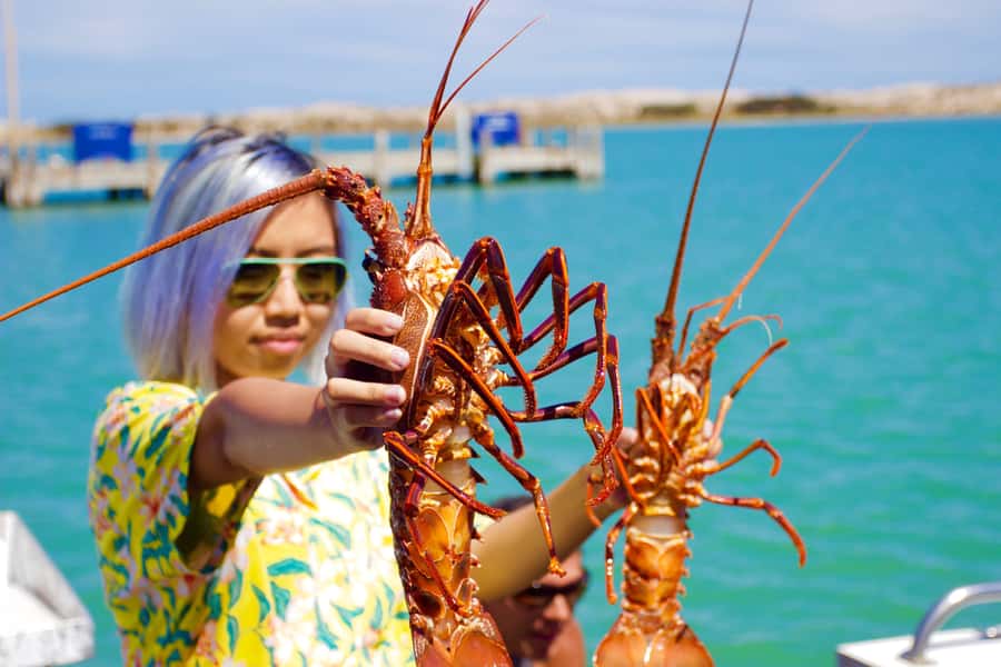 Kalbarri Crayfish Catch & Keep Tour - Pulling pots through the Kalbarri river mouth