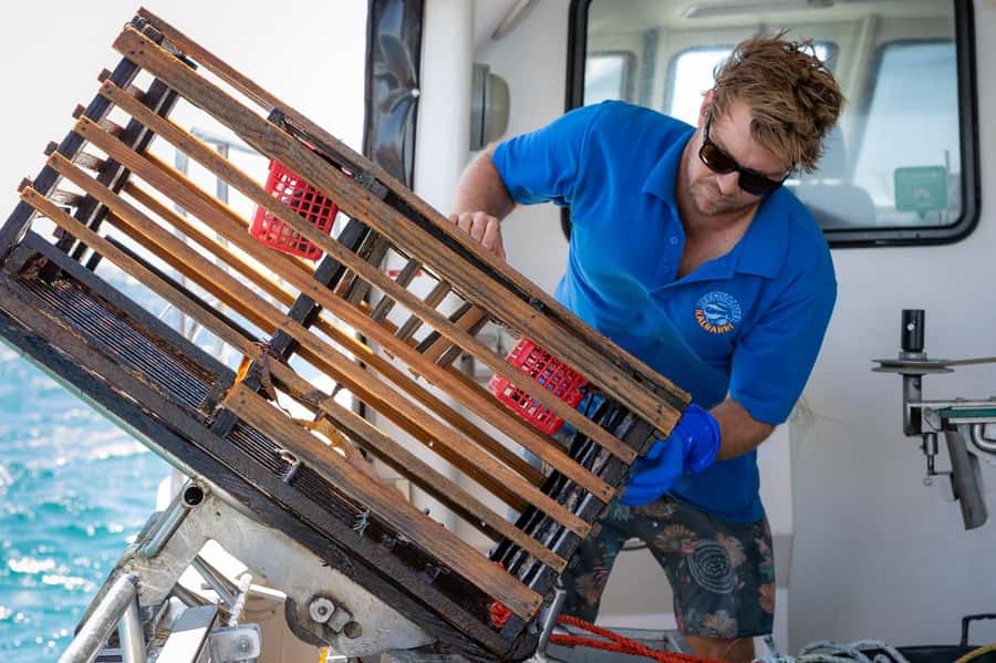 Kalbarri Crayfish Catch & Keep Tour - A working boat with room to watch